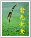 天价婚约全文免费