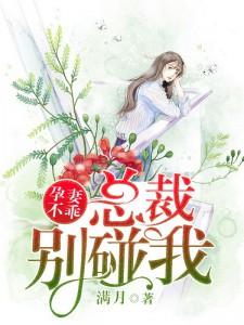 惹火孕妻总裁别碰我百度文学