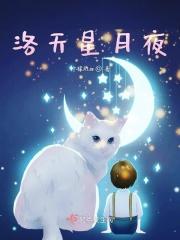 洛星河夜