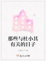 与杜小舫