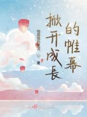 别把帷幕掀开