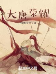 大唐荣耀什么