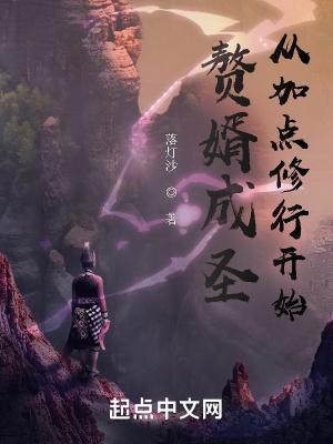 赘婿成圣从加点修行开始