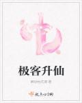 极客系统