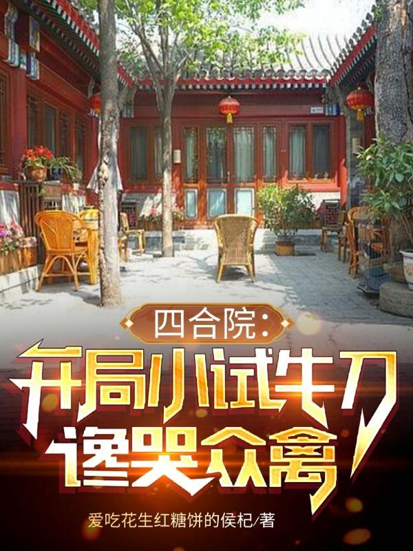 四合院开局有了个小目标