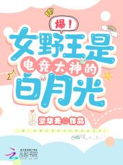 国服野王女玩家