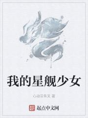 星舰全图