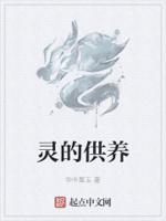 供灵是什么