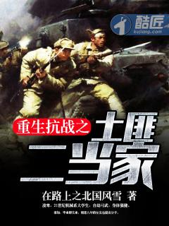 重生抗战之土匪二当家的