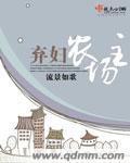 弃妇小农女