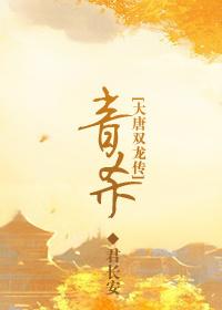 [大唐双龙传