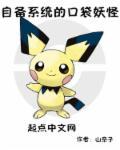 口袋妖怪系统类