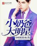 奶爸明星类