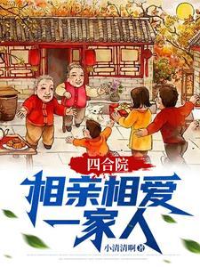讲述四合院里的电视剧