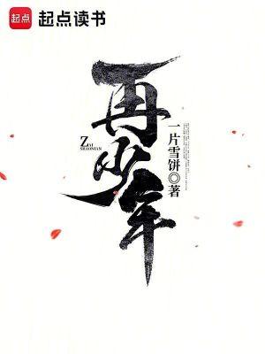 可否许我再少年上一句是啥