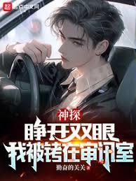 神探主演是谁