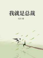 我就是总裁跑了的白月光晋江