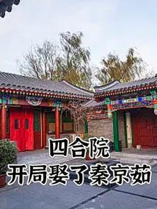 情满四合院秦淮茹谁扮演