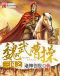 三国之曹魏谋主
