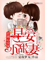 厉少宠妻实录免费阅读[完整版