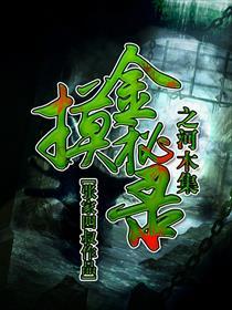 摸金秘记txt