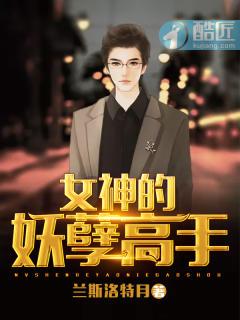 女神的妖孽高手的后续
