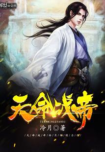 天命武帝