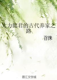 大力郎君的古代养家之路格格党