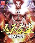 通天圣主80一100集免费观看