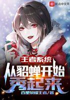 王者系统