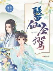 医圣剑仙