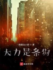 大力哥大力是什么