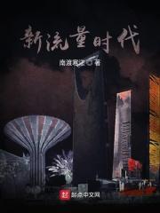 流量时代的意思