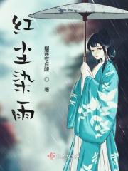 红尘的雨Dj