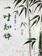 一叶知玄