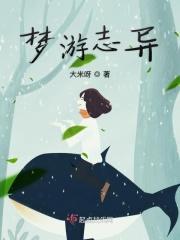 梦游计