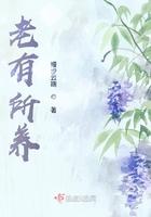 老有所养是成语吗
