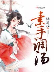 素汤配方