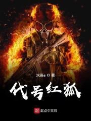 代号红狐24号